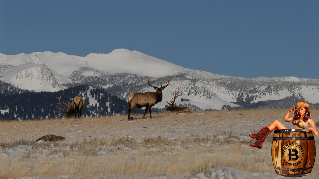 Distillery Tour – Bozeman Spirits